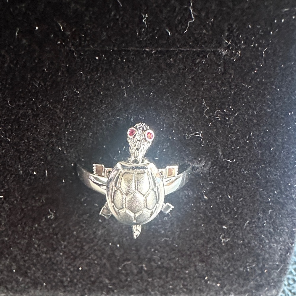 Silver Turtle Ring With Ruby Eyes - image 1